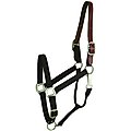 Gatsby Classic Nylon Breakaway Horse Halter & Snap, Black, Cob
