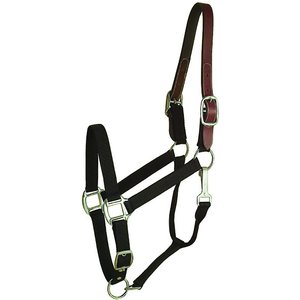 Weaver Leather Nylon Adjustable Breakaway Yearling Halter at Tractor Supply  Co.
