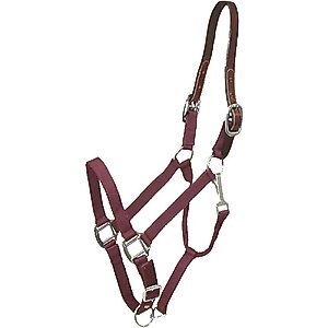 Gatsby Classic Nylon Breakaway Horse Halter & Snap, Burgundy, Horse
