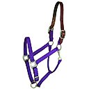 Gatsby Classic Nylon Breakaway Horse Halter & Snap, Purple, Cob