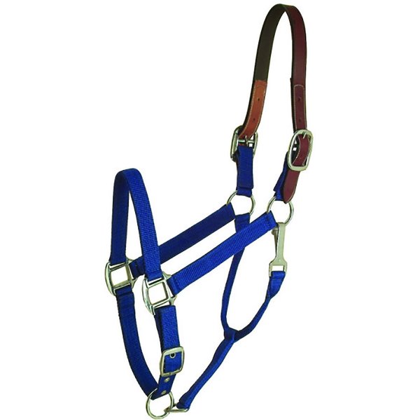 TOUGH-1 Nylon Padded Halter with Satin Horse Hardware, Purple, Yearling ...
