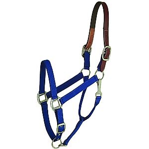 Gatsby Classic Nylon Breakaway Horse Halter & Snap, Royal Blue, Horse