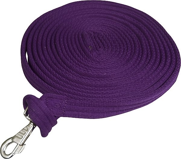 Gatsby Cushion Web Horse Lunge Line, Purple slide 1 of 1