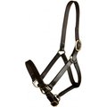 Gatsby Leather Adjustable Turnout Horse Halter, Yearling