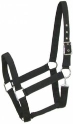 Gatsby Nylon Horse Halter & Snap, Black