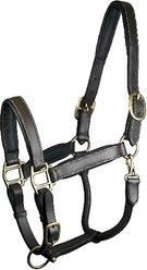 Gatsby Padded Leather Horse Halter, Cob