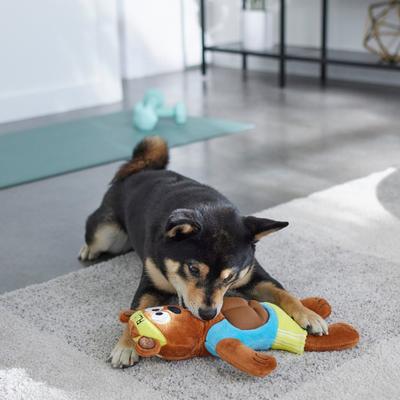 Show full view: Frisco Fitness Bear Reversible Plush Squeaky Dog Toy  slide 4 of 5