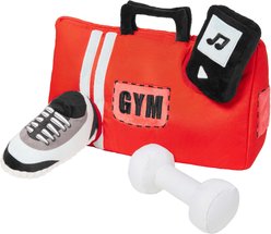 Frisco Gym Bag Hide & Seek Puzzle Plush Squeaky Dog Toy slide 1 of 3