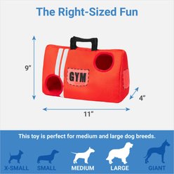 Frisco Gym Bag Hide & Seek Puzzle Plush Squeaky Dog Toy slide 2 of 3
