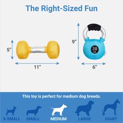 Frisco Dumbell & Kettleball Plush Squeaky Dog Toy, 2 count slide 2 of 3