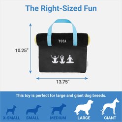 Frisco Yoga Mat Plush Squeaky Dog Toy slide 2 of 3