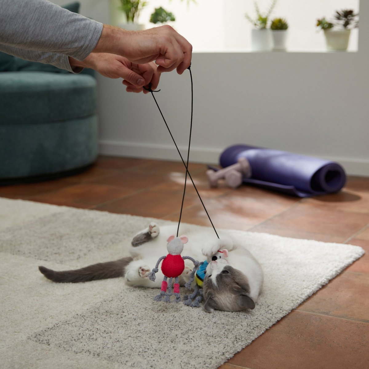 FRISCO New Year, New Me Gym Bouncy Mice Plush Cat Toy With Catnip, 2