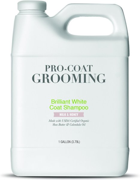 Pro-Coat Grooming Brilliant White Coat Milk & Honey Dog Shampoo, 1-gal bottle slide 1 of 2