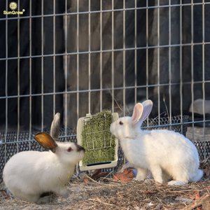 SunGrow Rabbit, Bunny & Guinea Pig Hay Feeder Rack Food Dispenser