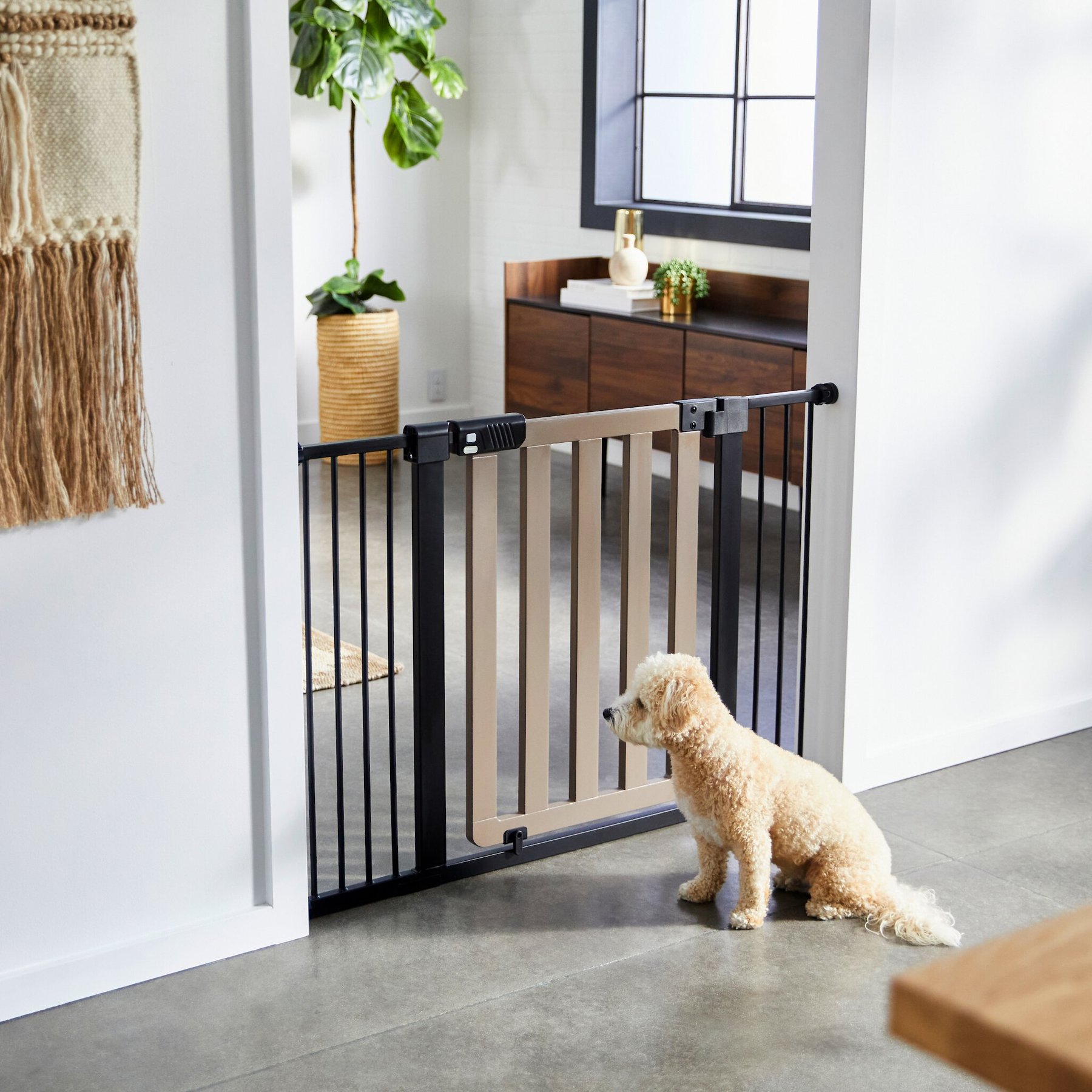 FRISCO Wood & Metal Extra Wide Auto-close Dog Gate, 30-in, Gray - Chewy.com