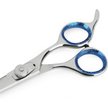 Laazar Pro Shear Thinning Pet Grooming Shear - 6.5 22 Teeth Scissors for Dogs Cats and Pets Laazar Pro Shear Thinning Pet Grooming Shear - 6.5 22 Teeth Scissors for Dogs Cats and Pets