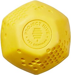 Project Hive Pet Company Ball Dog Toy