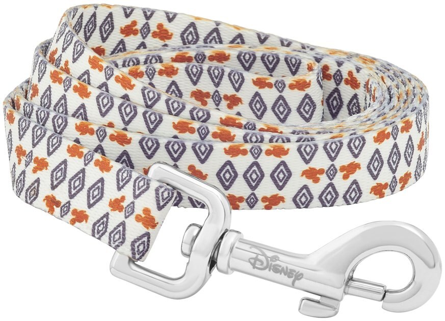 Mickey Mouse Southwest Pattern Cat Collar