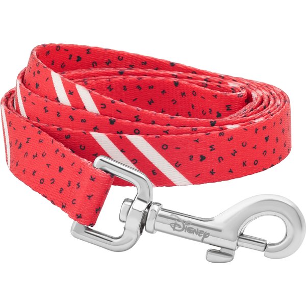 Safespot 2025 locking leash