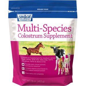 Ultra 24 milk clearance replacer for puppies