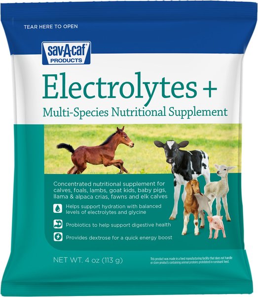Sav-A-Caf Electrolytes Plus Multi Species Supplement, 4-oz pouch slide 1 of 6