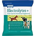 Sav-A-Caf Electrolytes Plus Multi Species Supplement, 4-oz pouch