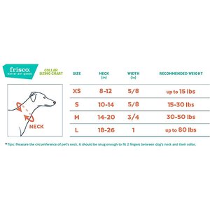 Frisco Velvet Dog Collar With Removable Velvet Bow, Red, XS - Neck: 8-12-in, Width: 5/8-in