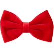 Show in main carousel: Frisco Velvet Dog Collar With Removable Velvet Bow, Red, XS - Neck: 8-12-in, Width: 5/8-in slide 4 of 7