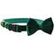 Show in main carousel: Frisco Velvet Dog Collar With Removable Velvet Bow, Green, XS - Neck: 8-12-in, Width: 5/8-in slide 1 of 7
