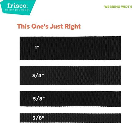 Show full view: Frisco Velvet Dog Collar With Removable Velvet Bow, Green, XS - Neck: 8-12-in, Width: 5/8-in slide 5 of 7