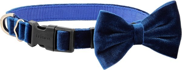 Frisco Velvet Dog Collar With Removeable Velvet Bow, Blue, SM - Neck: 10-14-in, Width: 5/8-in slide 1 of 6