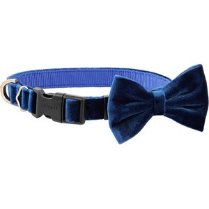 Frisco Velvet Dog Collar With Removeable Velvet Bow, Blue, SM - Neck: 10-14-in, Width: 5/8-in