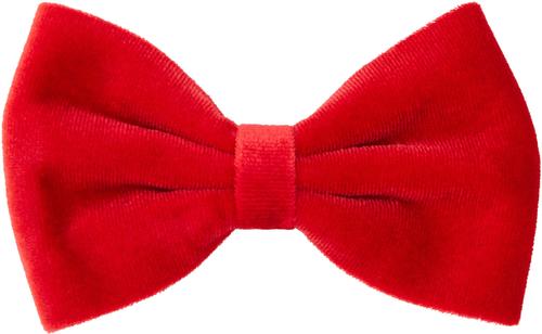 Show full view: Frisco Velvet Dog Collar With Removable Velvet Bow, Red, SM - Neck: 10-14-in, Width: 5/8-in slide 4 of 7