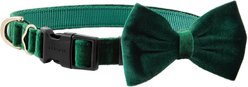 Frisco Velvet Dog Collar With Removable Velvet Bow, Green, MD - Neck: 14-20-in, Width: 3/4-in