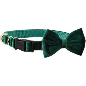 Frisco Velvet Dog Collar With Removeable Velvet Bow, Green, LG - Neck: 18-26 in, Width: 1-in