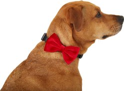 Frisco Removeable Velvet Collar Bow, Red Velvet, XS/SM