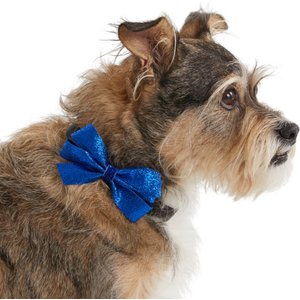Frisco Removeable Glitter Collar Bow, Blue, MD/LG