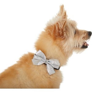 Frisco Removeable Glitter Collar Bow, Green, MD/LG