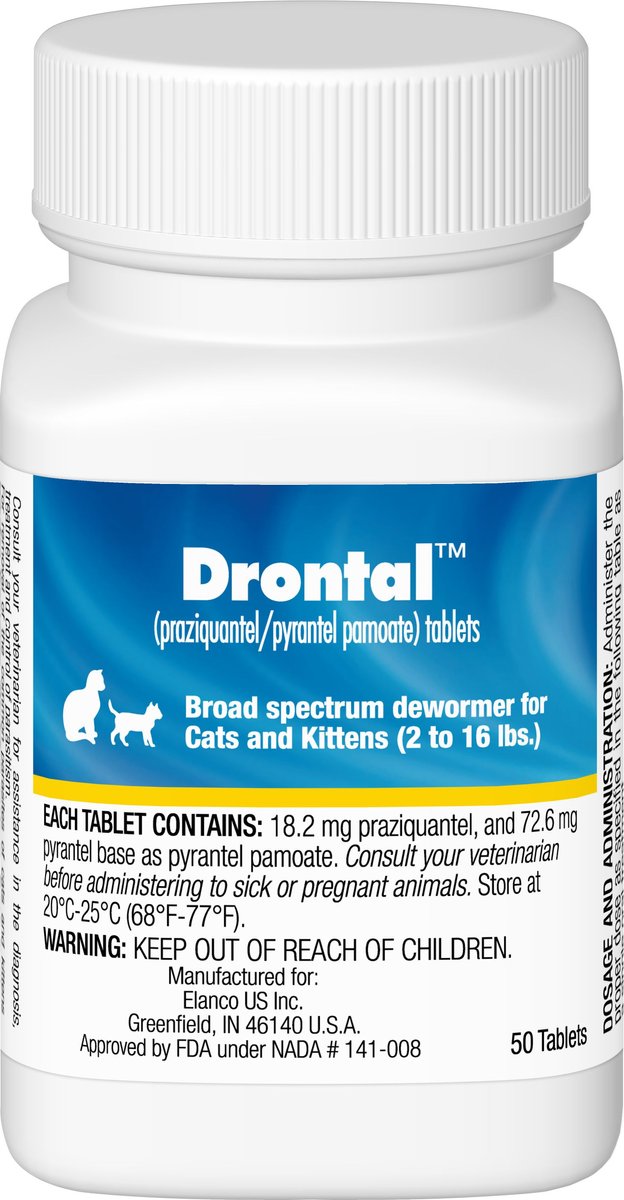 Drontal feline best sale side effects