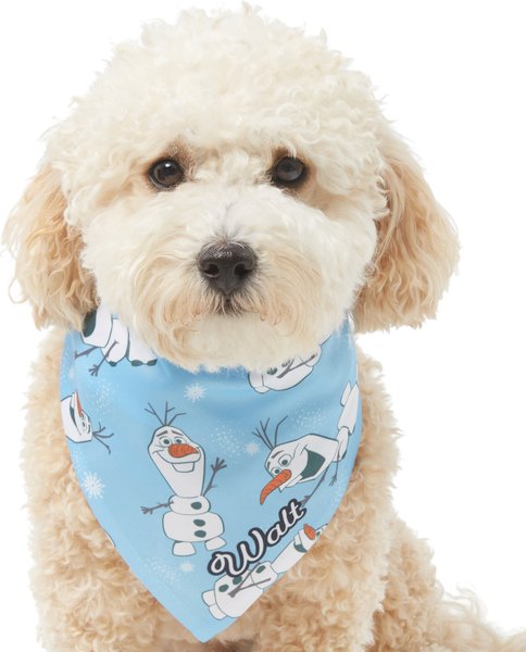 Disney Frozen's Olaf & Snow Personalized Dog & Cat Bandana
