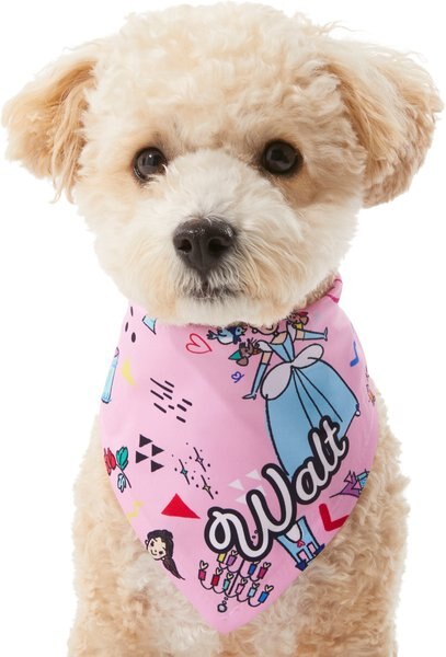 Disney Teeny Princesses Personalized Dog & Cat Bandana