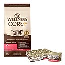 Wellness CORE Digestive Health Salmon Pate Recipe Grain-Free Wet Cat Food, 3-oz, case of 12 & Wellness CORE Digestive Health Wholesome Grains Salmon & Rice Recipe Dry Cat Food, 5-lb bag