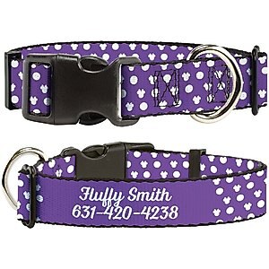 Buckle-Down Disney Minnie Mouse Ears Personalized Dog Collar, Small