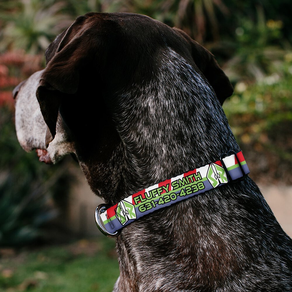 Buzz lightyear 2024 dog collar