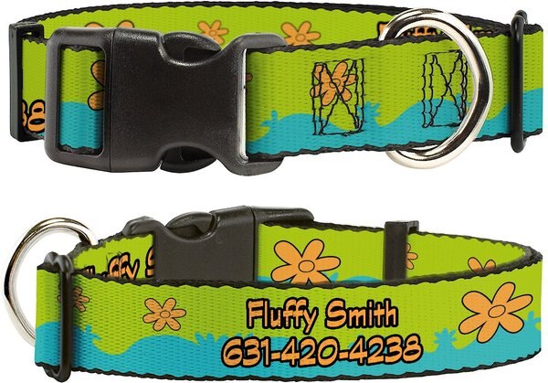 Buckle-Down Scooby Doo The Mystery Machine Paint Job Personalized Dog Collar, Large slide 1 of 7