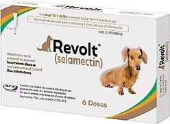 Revolt Topical Solution for Dogs, 10.1-20 lbs, (Brown Box), 6 Doses (6-mos. supply)