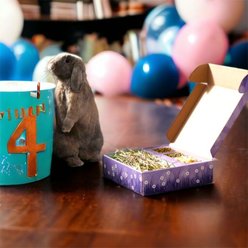 Sweet Meadow Farm Bunny Bento Box Western Timothy, Banana Chips & Chamomile Small Pet Treat, 10-oz box