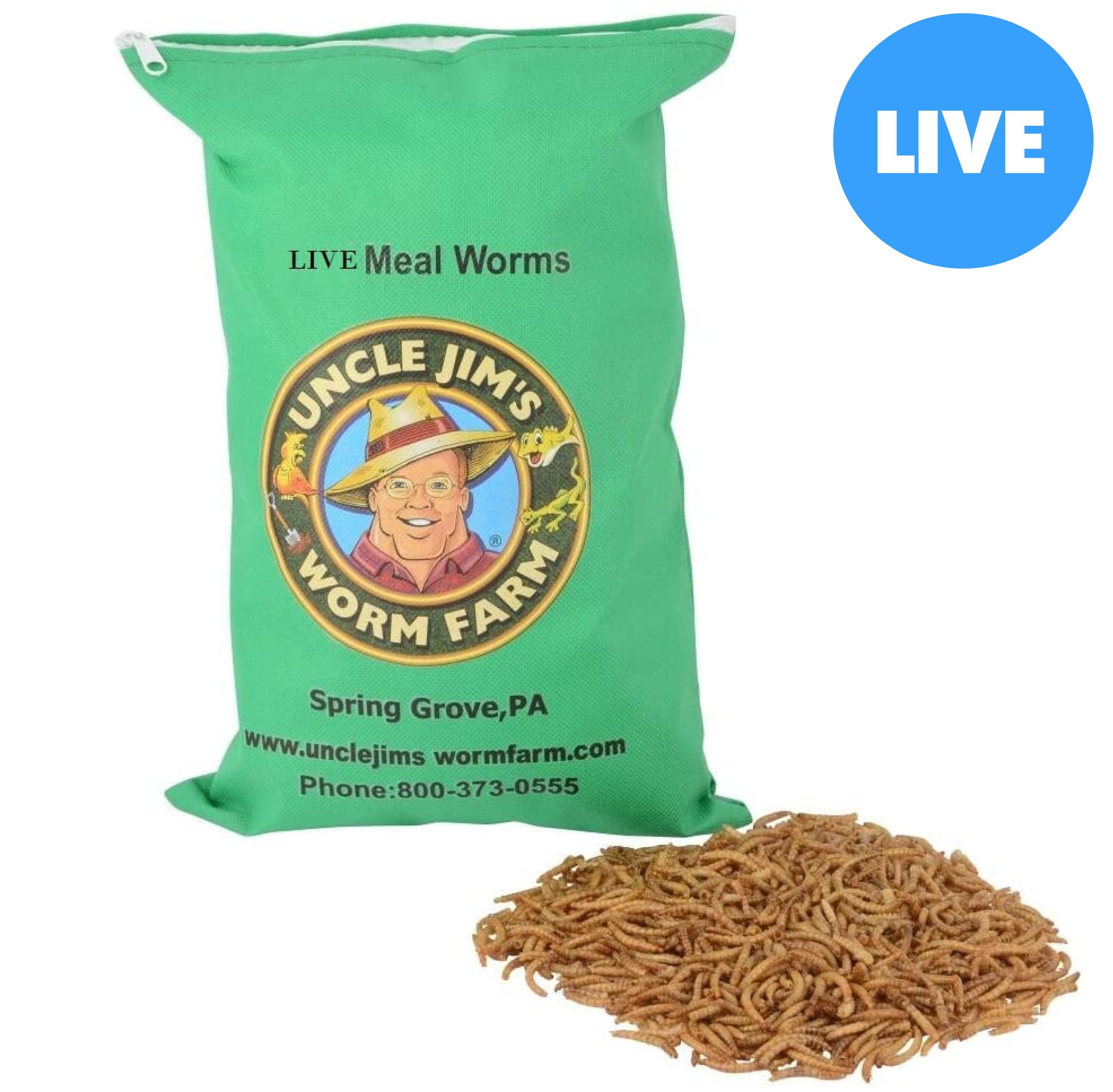 what-size-are-these-mealworms-chewy