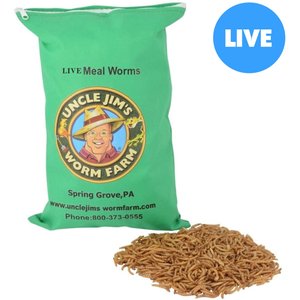 Uncle Jim's Worm Farm Live Mealworms Reptile & Fish Food, 500 count