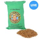Uncle Jim's Worm Farm Live Mealworms Reptile & Fish Food, 2000 count
